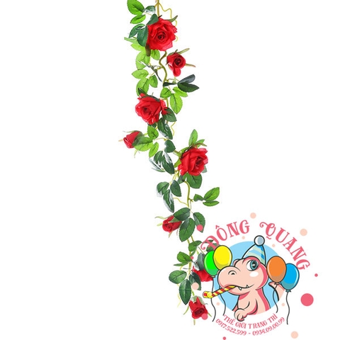 Hoa hồng - dây - 7 bông, 7 nụ