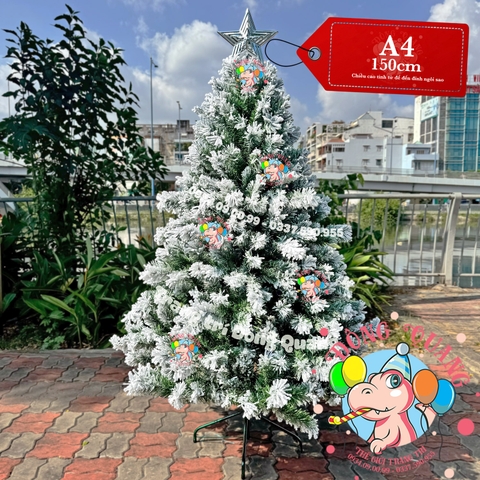 Cây thông phủ tuyết (cành treo)