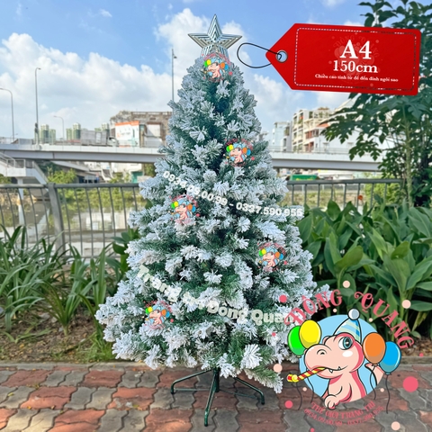 Cây thông phủ tuyết (cành treo)