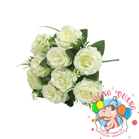 Hoa Hồng nhung - bụi - 9 bông