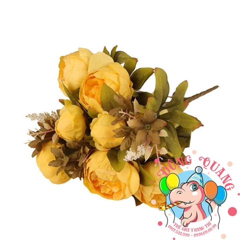 Hoa Mẫu đơn (Trang) - bụi - 6 bông - Trung Quốc