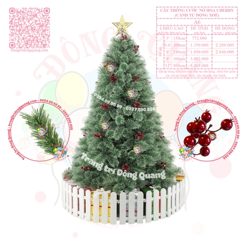 Cây thông cước nở hoa gắn cherry (cành tự động xoè)