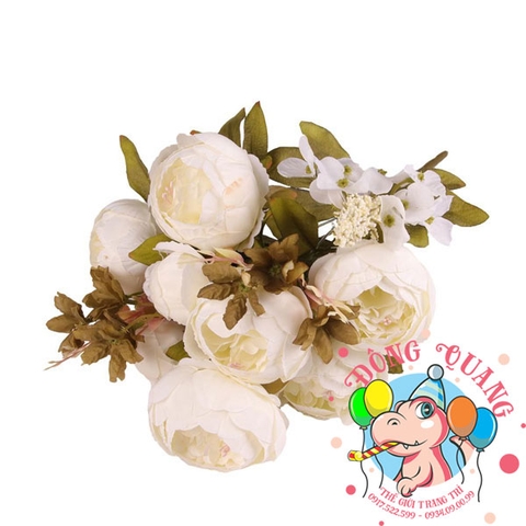 Hoa Mẫu đơn (Trang) - bụi - 6 bông - Trung Quốc