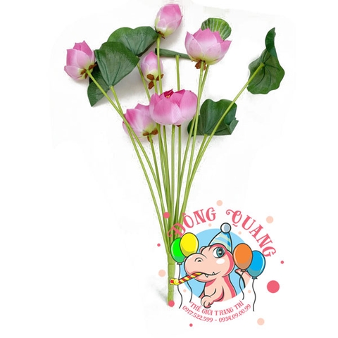 Hoa Sen Thái Lan - bụi - 4 bông 2 nụ