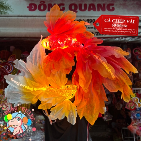 Cá chép vải voan lụa