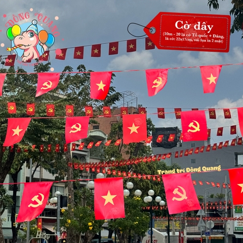 Cờ Việt Nam