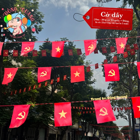 Cờ Việt Nam