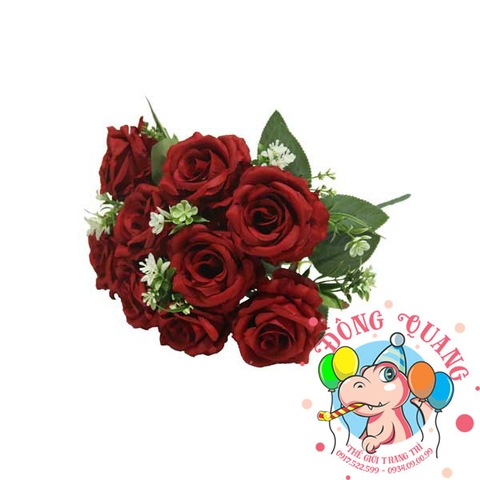 Hoa Hồng nhung - bụi - 9 bông