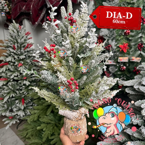 Cây thông mini 4 loại lá phủ tuyết cherry