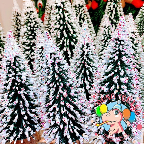 Cây thông kim mini