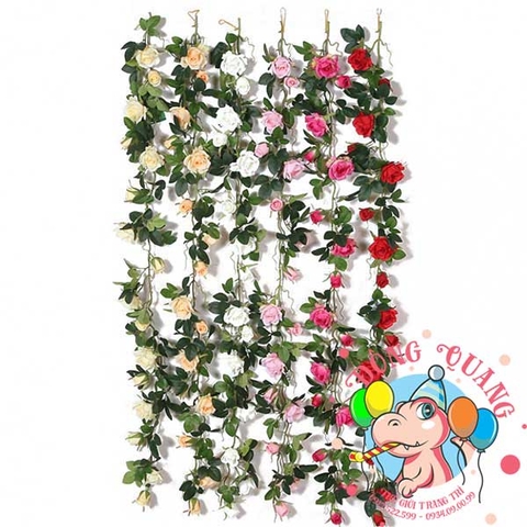 Hoa hồng - dây - 7 bông, 7 nụ