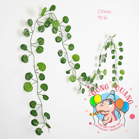 Dây lá Rau má (Táo tây)