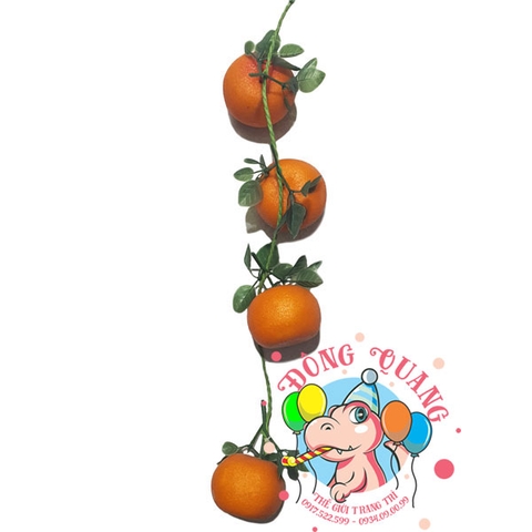 Trái Quýt - dây - 4 trái