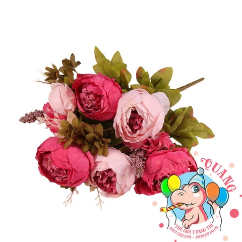 Hoa Mẫu đơn (Trang) - bụi - 6 bông - Trung Quốc