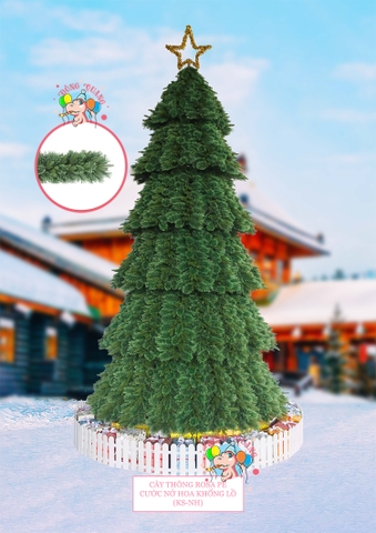 Cây thông khổng lồ 2 loại lá PE, cước nở hoa