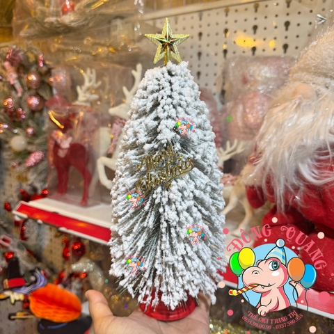 Cây thông mini lá cước phủ tuyết