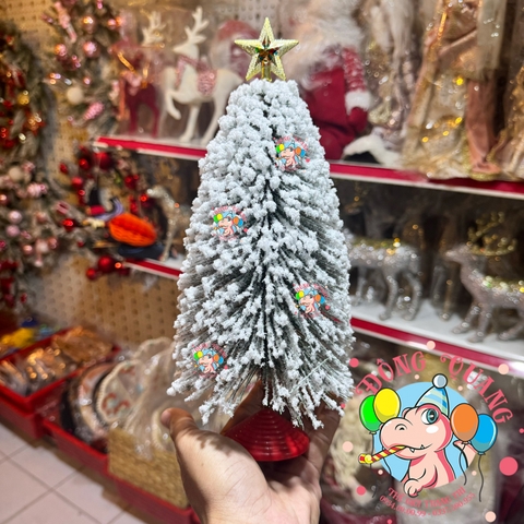 Cây thông mini lá cước phủ tuyết