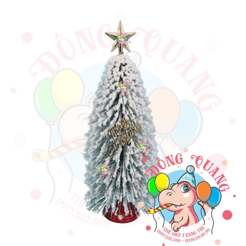 Cây thông mini lá cước phủ tuyết