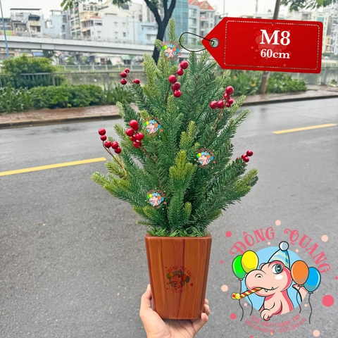 Cây thông mini PE 3 loại lá, cherry