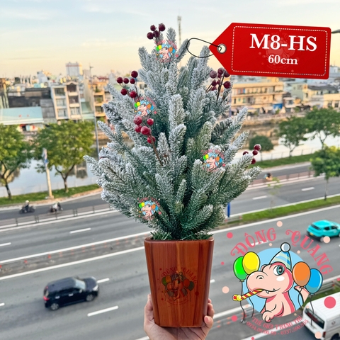 Cây thông mini PE 3 loại lá phủ tuyết cherry (chậu nhựa)