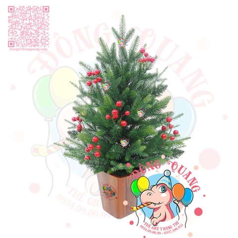 Cây thông mini PE 3 loại lá, cherry