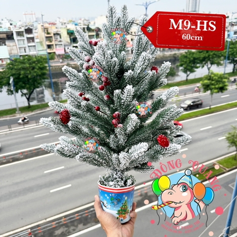 Cây thông mini PE phủ tuyết trái thông, cherry