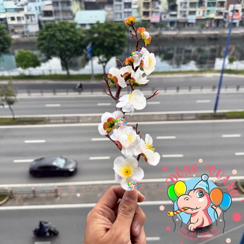 Cành mai, đào nhỏ