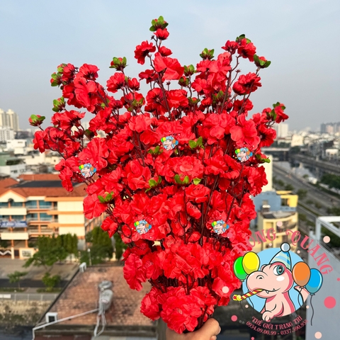 Cành mai, đào lớn