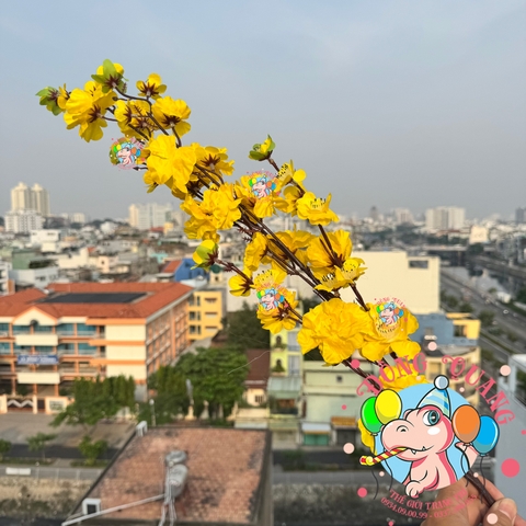 Cành mai, đào lớn