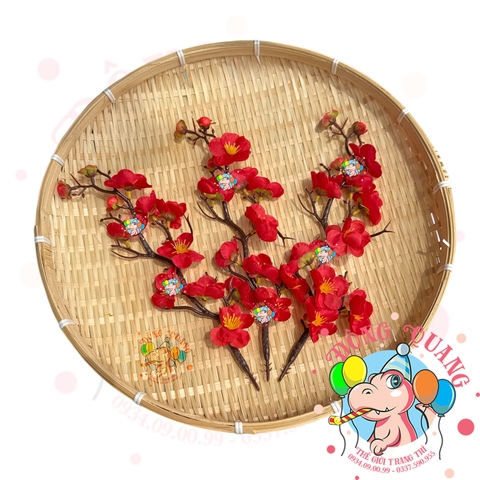 Cành mai, đào nhỏ