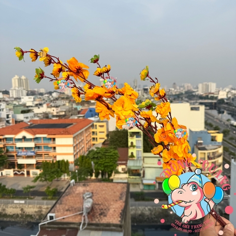 Cành mai, đào lớn