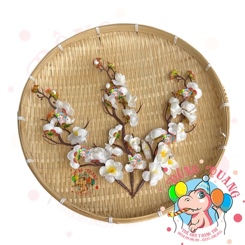 Cành mai, đào nhỏ