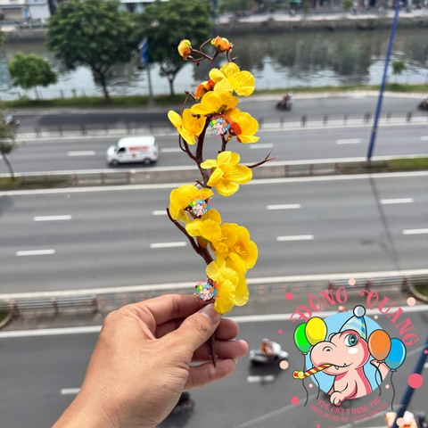 Cành mai, đào nhỏ