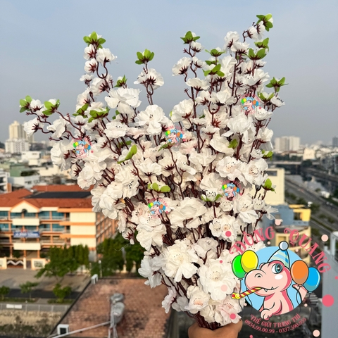 Cành mai, đào lớn