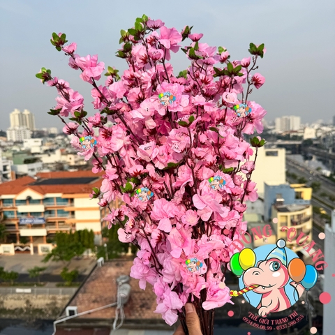 Cành mai, đào lớn