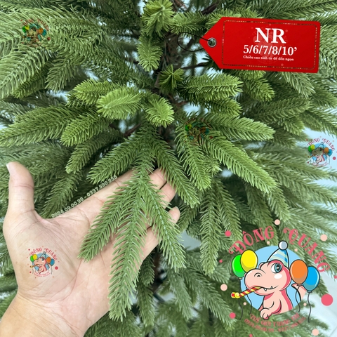 Cây thông toàn bộ lá PE (cành tự động xoè)