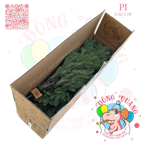 Cây thông toàn bộ lá PE (PI - cành tự động xoè)