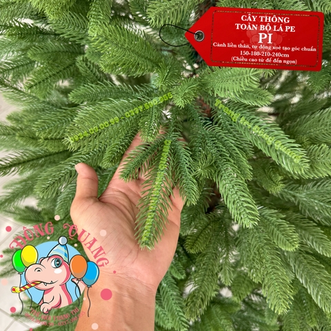 Cây thông toàn bộ lá PE (PI - cành tự động xoè)