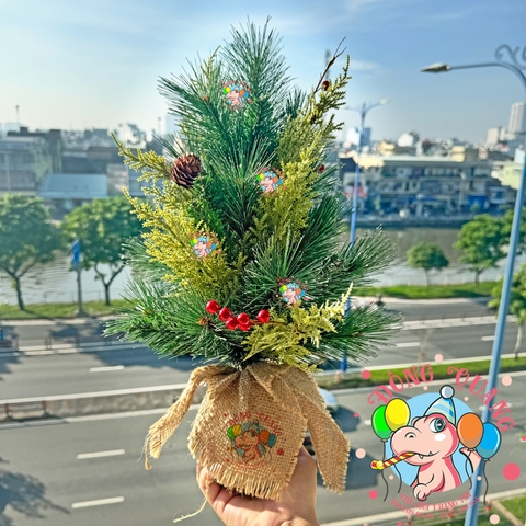 Cây thông mini 3 loại lá cước lăn sơn gắn trái thông, cherry