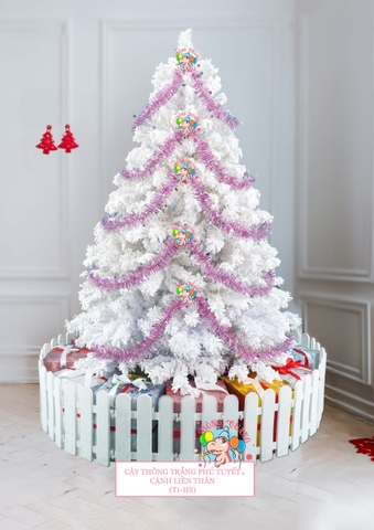 Cây thông trắng phủ tuyết