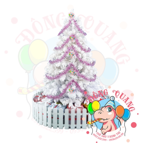 Cây thông trắng phủ tuyết