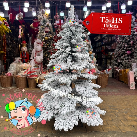 Cây thông Levo phủ tuyết tán rộng (cành treo)