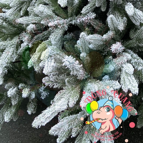 Cây thông PE 2 loại lá phủ tuyết (cành tự động xoè)