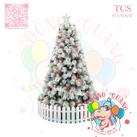 Cây thông cước 2 loại lá phủ tuyết cherry (cành tự động xoè)