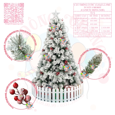 Cây thông cước 2 loại lá phủ tuyết cherry (cành tự động xoè)