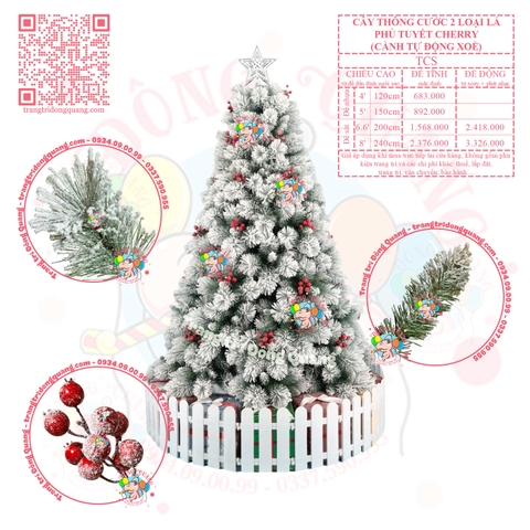 Cây thông cước 2 loại lá phủ tuyết cherry (TCS - cành tự động xoè)