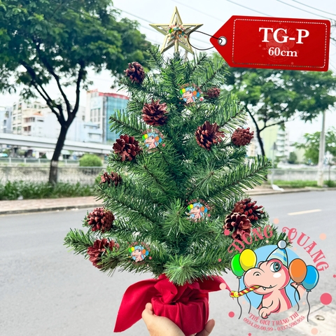 Cây thông mini xanh gắn trái thông
