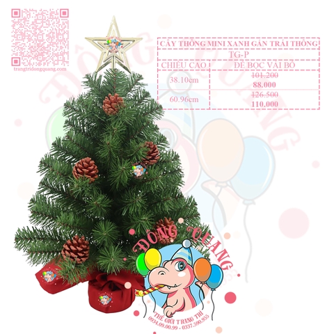 Cây thông mini xanh gắn trái thông