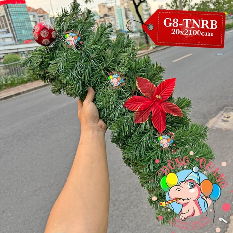 Dây trang trí thông xanh trạng nguyên