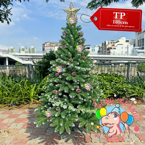 Cây thông đầu nhọn phun sơn gắn trái thông (cành treo)